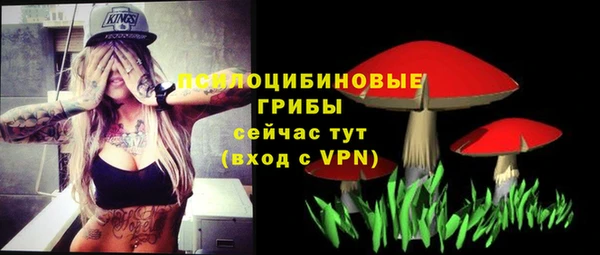 бутират Майский
