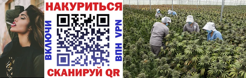 гидра ONION  Юрьевец  Каннабис гибрид 